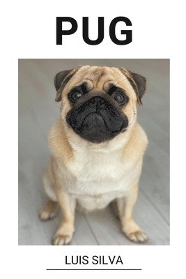 bokomslag Pug