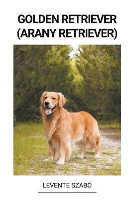 Golden Retriever (Arany Retriever) 1