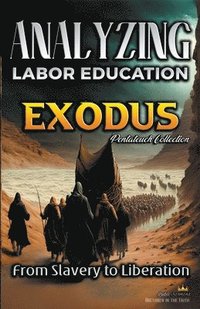 bokomslag Analyzing the Teaching of Labor in Exodus