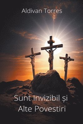 bokomslag Sunt Invizibil &#537;i Alte Povestiri