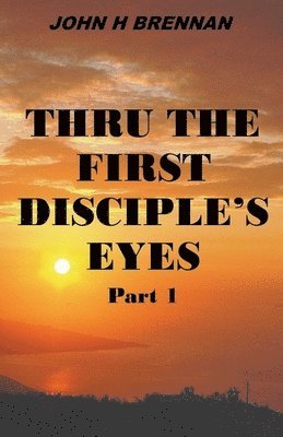 bokomslag Thru the First Disciple's Eyes