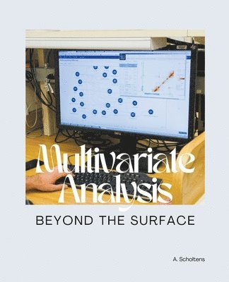 A Scholtens, A. Scholtens - Multivariate Analysis Beyond the Surface, Häftad