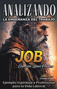 bokomslag Analizando la Enseñanza del Trabajo en Job