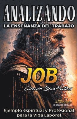 bokomslag Analizando la Enseñanza del Trabajo en Job