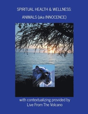 Spiritual Health & Wellness: Animals (aka Innocence) 1