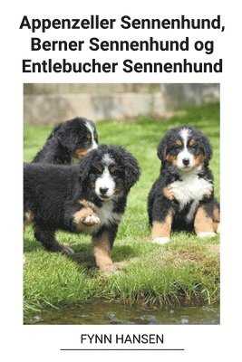 bokomslag Appenzeller Sennenhund, Berner Sennenhund og Entlebucher Sennenhund