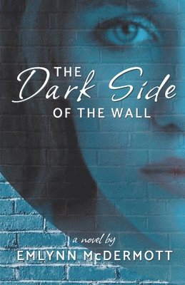bokomslag Dark Side of the Wall