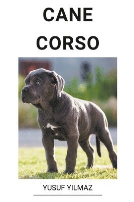 bokomslag Cane Corso