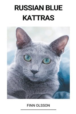 Russian Blue (Kattras) 1