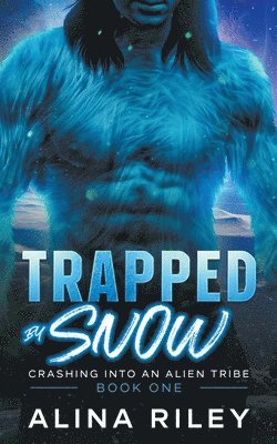 Trapped by Snow 1