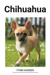 bokomslag Chihuahua