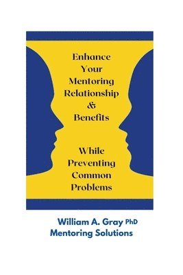 bokomslag Enhance Your Mentoring Relationship & Benefits While Preventing Common Problelms