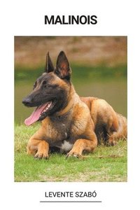 bokomslag Malinois