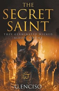 bokomslag The Secret Saint