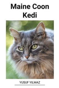 bokomslag Maine Coon Kedi