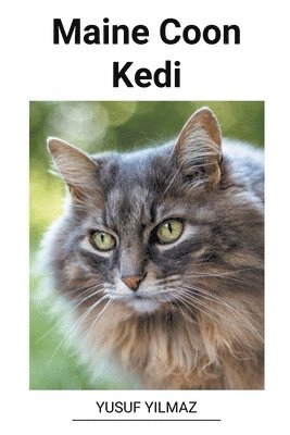 bokomslag Maine Coon Kedi