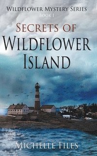 bokomslag Secrets of Wildflower Island