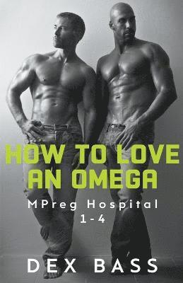 bokomslag How To Love An Omega