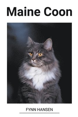 Maine Coon 1