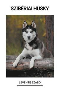 bokomslag Szibériai Husky