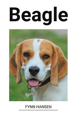 bokomslag Beagle