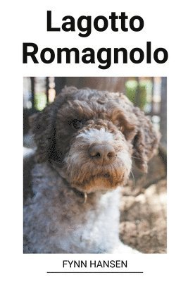 Lagotto Romagnolo 1