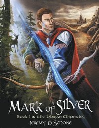 bokomslag Mark of Silver