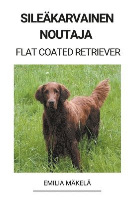 bokomslag Sileakarvainen Noutaja (Flat Coated Retriever)