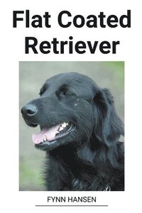 bokomslag Flat Coated Retriever