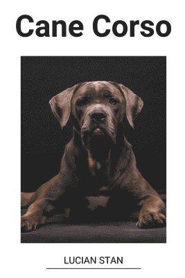 bokomslag Cane Corso