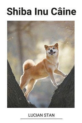 bokomslag Shiba Inu Câine