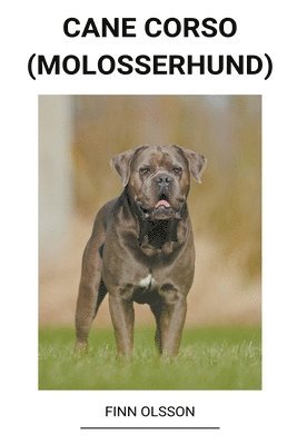 bokomslag Cane Corso (Molosserhund)