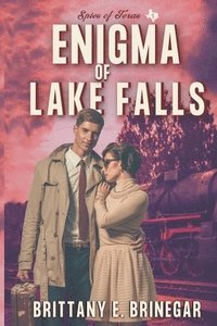 bokomslag Enigma of Lake Falls