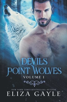 bokomslag Devils Point Wolves Volume 1