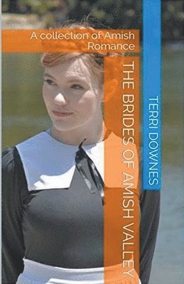 Brides of Amish Valley