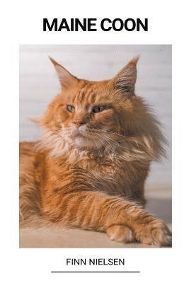 bokomslag Maine Coon