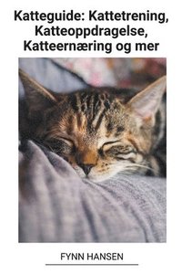 bokomslag Katteguide