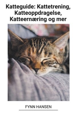bokomslag Katteguide