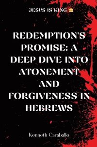 bokomslag Redemption's Promise