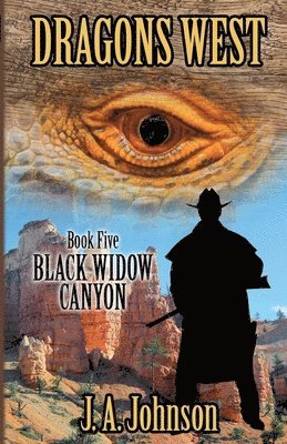 bokomslag Black Widow Canyon
