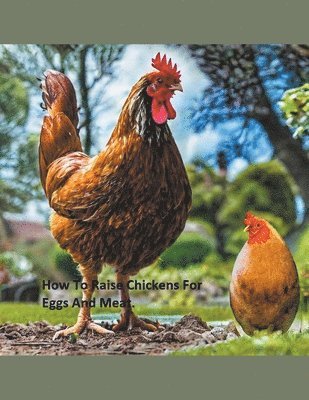 Tanner - How to Raise Chickens For Eggs and Meat, Häftad