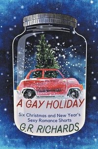 bokomslag Gay Holiday