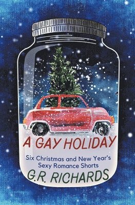 bokomslag Gay Holiday