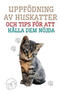 bokomslag Uppfdning av Huskatter och Tips fr att Hlla dem Njda