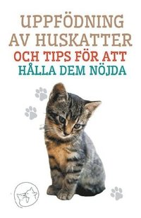 bokomslag Uppfoedning av Huskatter och Tips foer att Halla dem Noejda