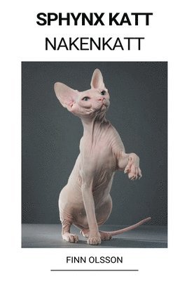 bokomslag Sphynx Katt (Nakenkatt)