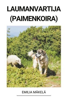 bokomslag Laumanvartija (Paimenkoira)