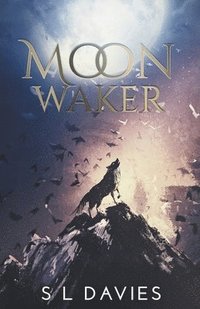 bokomslag Moon Waker
