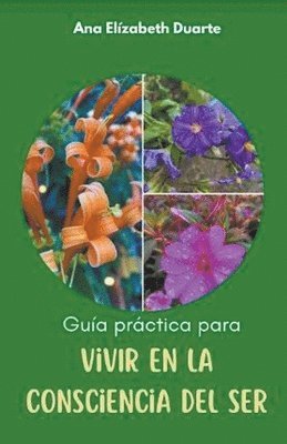 Ana Elizabeth Duarte Hernandez - Guía práctica para vivir en la Consciencia del Ser, Häftad