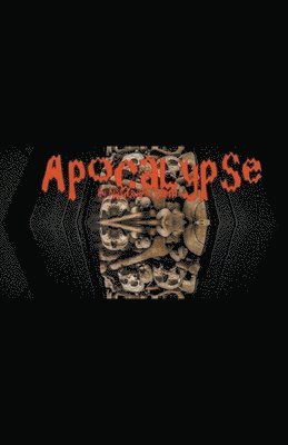 Apocalypse 1